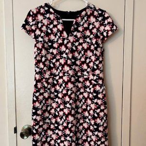 ***New w/Tags $89 Floral Banana Republic Sheath Dress in Size 4P 4 Petite***